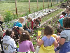 Colleen Miller demonstrates how drip lines work in raised bed gardening.