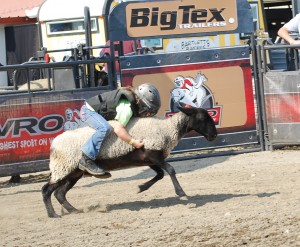 Sydney Wolsky shows her mutton busting skills. 